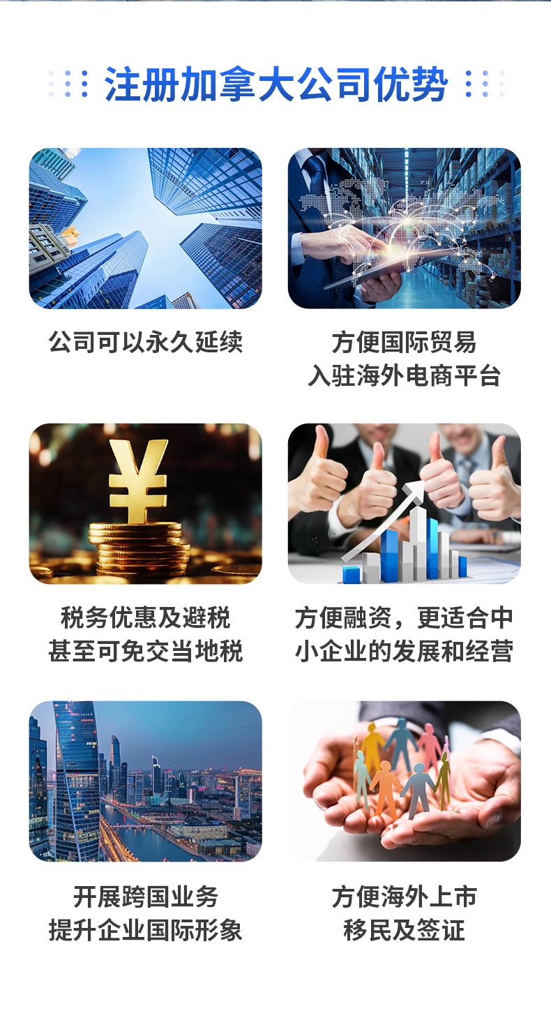 加拿大公司(图1)