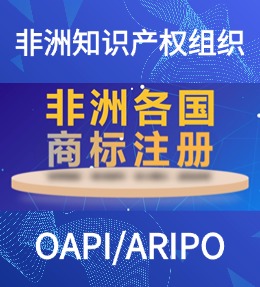 非洲知识产权组织